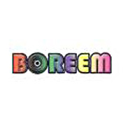 Boreem Battery Replacment Finder